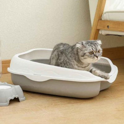Bac à litière chat Ulysse facilité