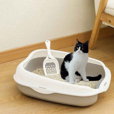 Bac à litière chat Ulysse sérénité