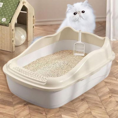 litiere chat marcus serenite quotidien