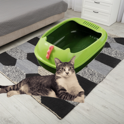 Litiere chat tino bonheur felin