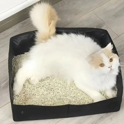 bac a litiere cassis doux confortable