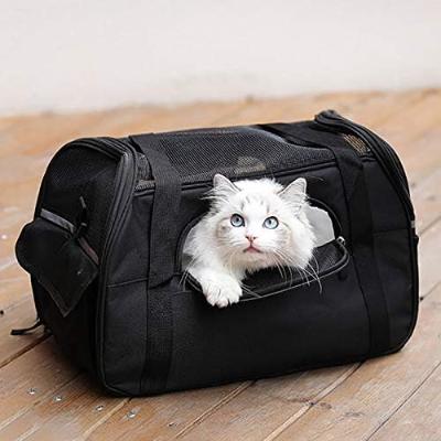 TravelPaws™ - Noir - Pattdechat